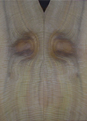 myrtlewood burl 8